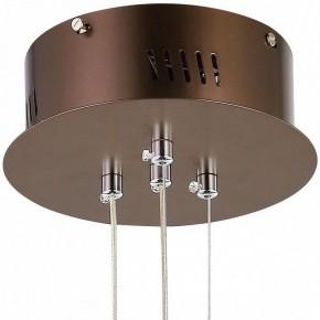 Подвесной светильник Favourite Saturn 2102-2P в Тюмени - tumen.mebel24.online | фото 5