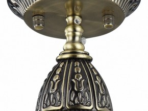 Подвесной светильник Favourite Sorento 1584-1P в Тюмени - tumen.mebel24.online | фото 4