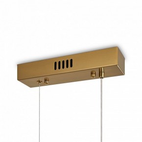 Подвесной светильник Freya Eclat FR6182PL-L18BS в Тюмени - tumen.mebel24.online | фото 6