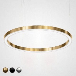 Подвесной светильник Imperiumloft Light Ring Horizontal 40.1454-120 в Тюмени - tumen.mebel24.online | фото