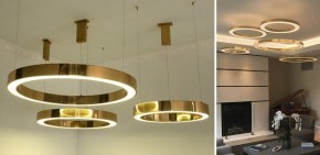 Подвесной светильник Imperiumloft Light Ring Horizontal 40.1454-50 в Тюмени - tumen.mebel24.online | фото 2