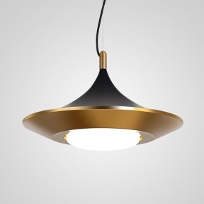 Подвесной светильник Imperiumloft Rask RASK01 в Тюмени - tumen.mebel24.online | фото 2