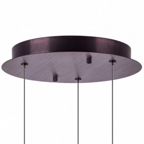 Подвесной светильник Lightstar Caramello 796139 в Тюмени - tumen.mebel24.online | фото 13