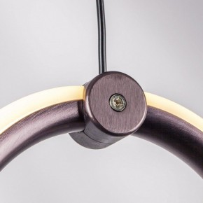 Подвесной светильник Lightstar Caramello 796139 в Тюмени - tumen.mebel24.online | фото 5