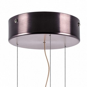 Подвесной светильник Lightstar Celesta 809210 в Тюмени - tumen.mebel24.online | фото 9