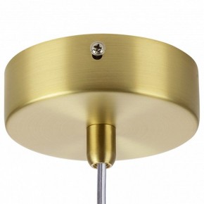 Подвесной светильник Lightstar Colore 805306 в Тюмени - tumen.mebel24.online | фото 7