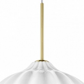Подвесной светильник Lightstar Colore 805306 в Тюмени - tumen.mebel24.online | фото 9