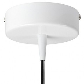 Подвесной светильник Lightstar Conicita 804110 в Тюмени - tumen.mebel24.online | фото 6