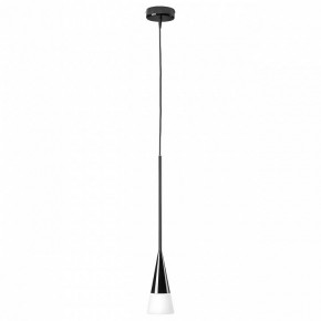 Подвесной светильник Lightstar Conicita 804117 в Тюмени - tumen.mebel24.online | фото 2