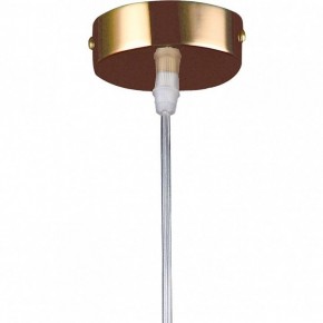 Подвесной светильник Lightstar Cristallo 795422 в Тюмени - tumen.mebel24.online | фото 5
