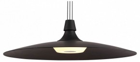 Подвесной светильник Lightstar Emisfero 737427 в Тюмени - tumen.mebel24.online | фото