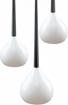 Подвесной светильник Lightstar Forma 808230 в Тюмени - tumen.mebel24.online | фото 3
