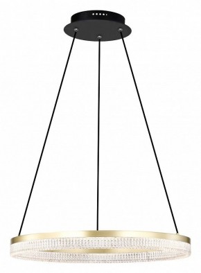 Подвесной светильник Lightstar Rotonda 736161 в Тюмени - tumen.mebel24.online | фото 2