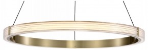 Подвесной светильник Lightstar Rotonda 736261 в Тюмени - tumen.mebel24.online | фото