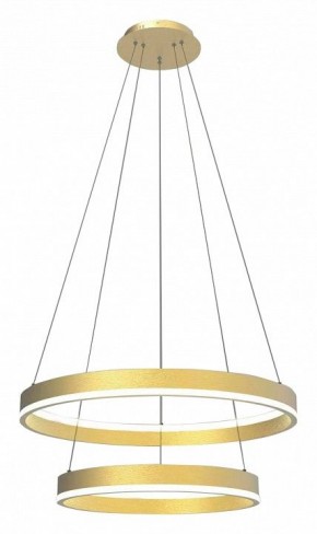 Подвесной светильник Lightstar Rotonda 736422 в Тюмени - tumen.mebel24.online | фото 2