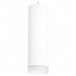 Подвесной светильник Lightstar Rullo RP649680 в Тюмени - tumen.mebel24.online | фото 2