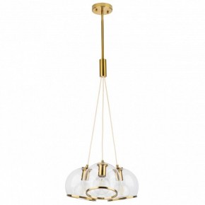 Подвесной светильник Lightstar Sferico 729031 в Тюмени - tumen.mebel24.online | фото 2