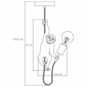 Подвесной светильник Lucide Extravaganza Chimp 10402/01/30 в Тюмени - tumen.mebel24.online | фото 6