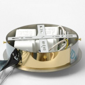 Подвесной светильник Lussole Citrus LSP-7158 в Тюмени - tumen.mebel24.online | фото 6