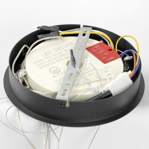Подвесной светильник Lussole Hale LSP-7380 в Тюмени - tumen.mebel24.online | фото 6