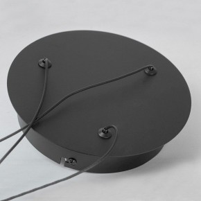 Подвесной светильник Lussole Lassen LSP-7257 в Тюмени - tumen.mebel24.online | фото 6