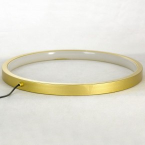 Подвесной светильник Lussole LSP-7002 LSP-7006 в Тюмени - tumen.mebel24.online | фото 5