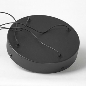 Подвесной светильник Lussole Macon LSP-7306 в Тюмени - tumen.mebel24.online | фото 5