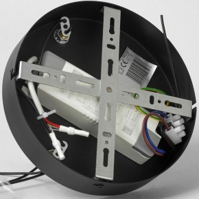 Подвесной светильник Lussole Macon LSP-7310 в Тюмени - tumen.mebel24.online | фото 5