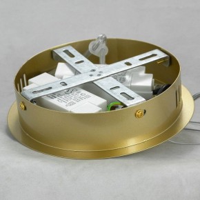 Подвесной светильник Lussole River LSP-8367 в Тюмени - tumen.mebel24.online | фото 6