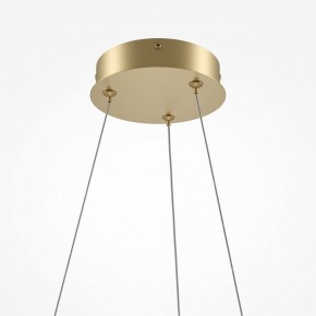 Подвесной светильник Maytoni Curve MOD241PL-L60BSK в Тюмени - tumen.mebel24.online | фото 6