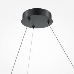 Подвесной светильник Maytoni Curve MOD242PL-L33BK в Тюмени - tumen.mebel24.online | фото 5