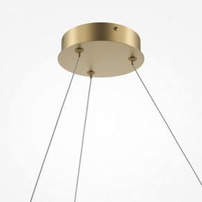 Подвесной светильник Maytoni Curve MOD242PL-L33BSK в Тюмени - tumen.mebel24.online | фото 5