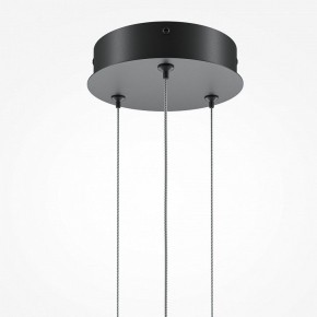 Подвесной светильник Maytoni Halo MOD247PL-L49BK в Тюмени - tumen.mebel24.online | фото 6