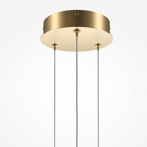 Подвесной светильник Maytoni Halo MOD247PL-L49BSK в Тюмени - tumen.mebel24.online | фото 6
