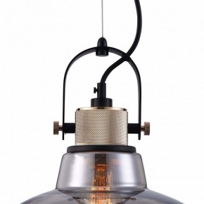 Подвесной светильник Maytoni Irving T163PL-01C в Тюмени - tumen.mebel24.online | фото 9