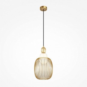 Подвесной светильник Maytoni Levitation MOD376PL-01G1 в Тюмени - tumen.mebel24.online | фото 2