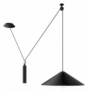 Подвесной светильник Maytoni Peso P080PL-01B в Тюмени - tumen.mebel24.online | фото 3