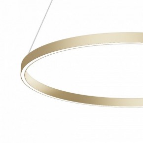 Подвесной светильник Maytoni Rim MOD058PL-L42BSK в Тюмени - tumen.mebel24.online | фото 4