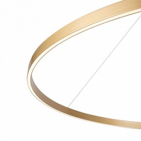 Подвесной светильник Maytoni Rim MOD058PL-L65BSK в Тюмени - tumen.mebel24.online | фото 5