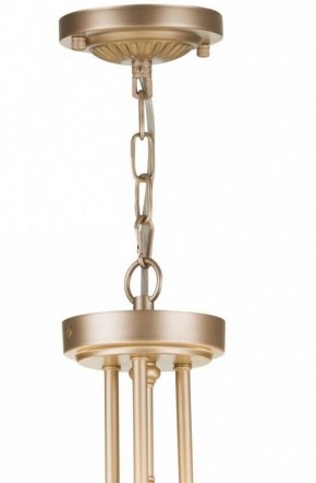 Подвесной светильник Maytoni Roma ARM006PL-06G в Тюмени - tumen.mebel24.online | фото 5