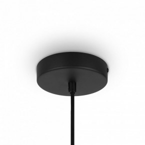 Подвесной светильник Maytoni Roots MOD194PL-01W в Тюмени - tumen.mebel24.online | фото 4