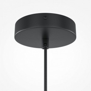 Подвесной светильник Maytoni Roots MOD194PL-01W1 в Тюмени - tumen.mebel24.online | фото 5