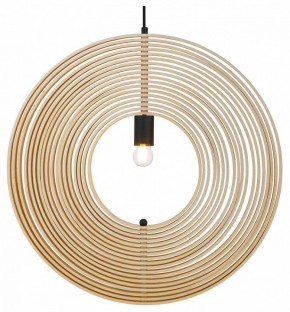 Подвесной светильник Maytoni Roots MOD197PL-01W2 в Тюмени - tumen.mebel24.online | фото 2