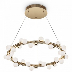 Подвесной светильник Maytoni Tessara MOD081PL-L50G3K в Тюмени - tumen.mebel24.online | фото 2