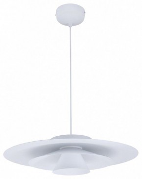 Подвесной светильник Moderli Chester V11109-PL в Тюмени - tumen.mebel24.online | фото 3