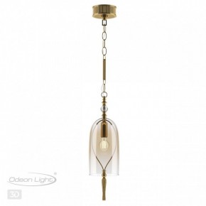 Подвесной светильник Odeon Light Bell 4892/1 в Тюмени - tumen.mebel24.online | фото 5