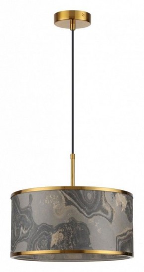 Подвесной светильник Odeon Light Bergi 5064/1 в Тюмени - tumen.mebel24.online | фото 2