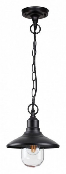 Подвесной светильник Odeon Light Campa 4965/1 в Тюмени - tumen.mebel24.online | фото 3