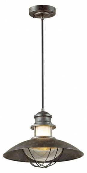 Подвесной светильник Odeon Light Dante 4164/1 в Тюмени - tumen.mebel24.online | фото 2