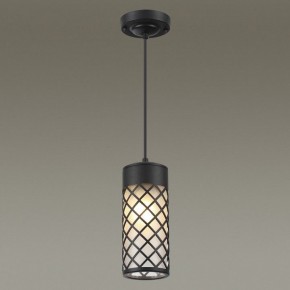 Подвесной светильник Odeon Light Dunes 4834/1 в Тюмени - tumen.mebel24.online | фото 3